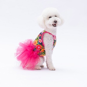 Haine animale de companie