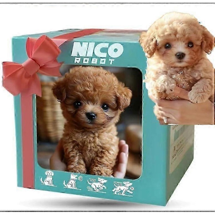 Играчка робот, Нико, интерактивен, реалистични движения, 30x20x15см