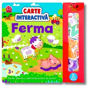 Activitati extracurriculare