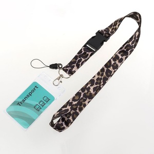 Accesorii prezentare