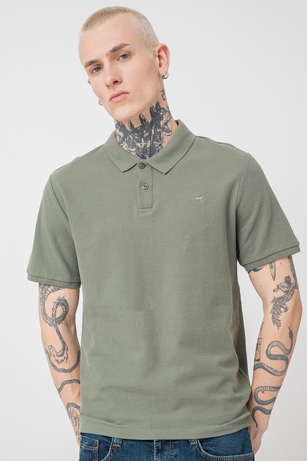 Mustang, Tricou din bumbac cu guler polo Palco, Verde prafuit, L