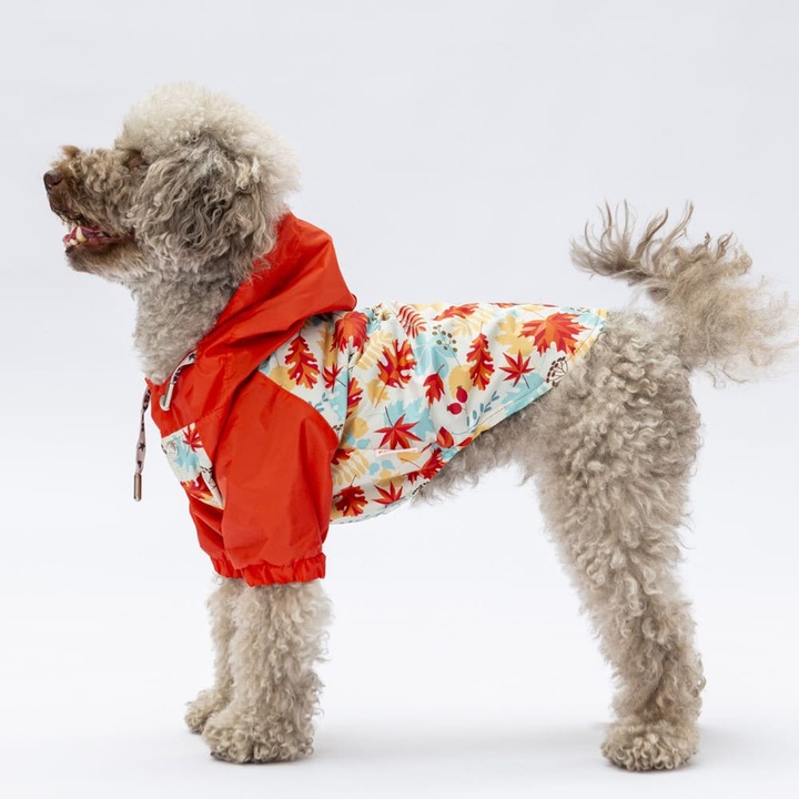 Jacheta de toamna pentru caini, Pawstar, model cu frunze, Marimea 2XL, culoare Rosu