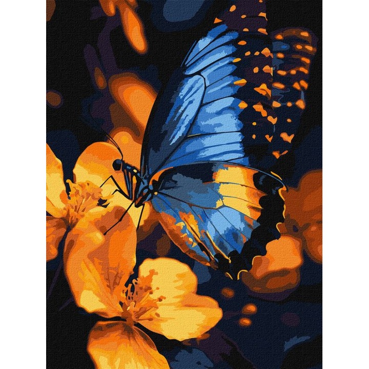 Set pictura pe numere, cu sasiu, Aripi colorate, 30x40 cm