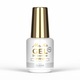 Gel constructie in sticla cu pensula Molly Nails, transparent, 15g