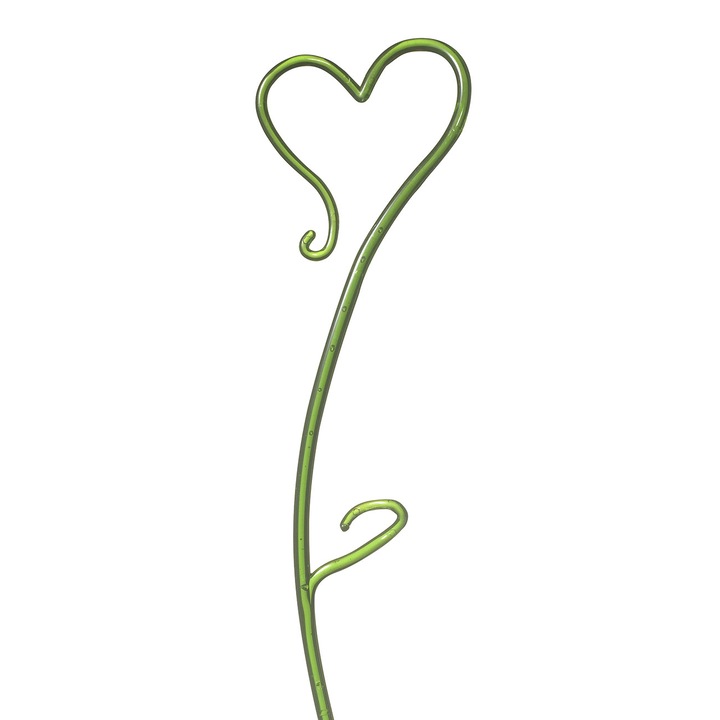 Bat pentru sustinere orhidee, verde, 55 cm