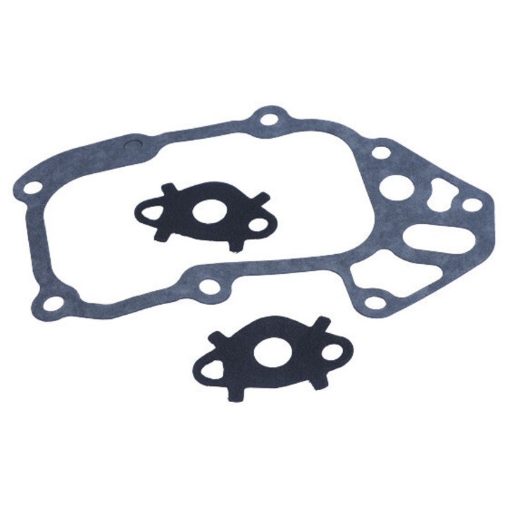 Set garnituri radiator ulei Dr. Motor pentru Fiat Ducato 3.0D, 5kg