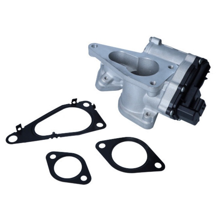 NISSENS EGR szelep Renault 1.9DCI-hez