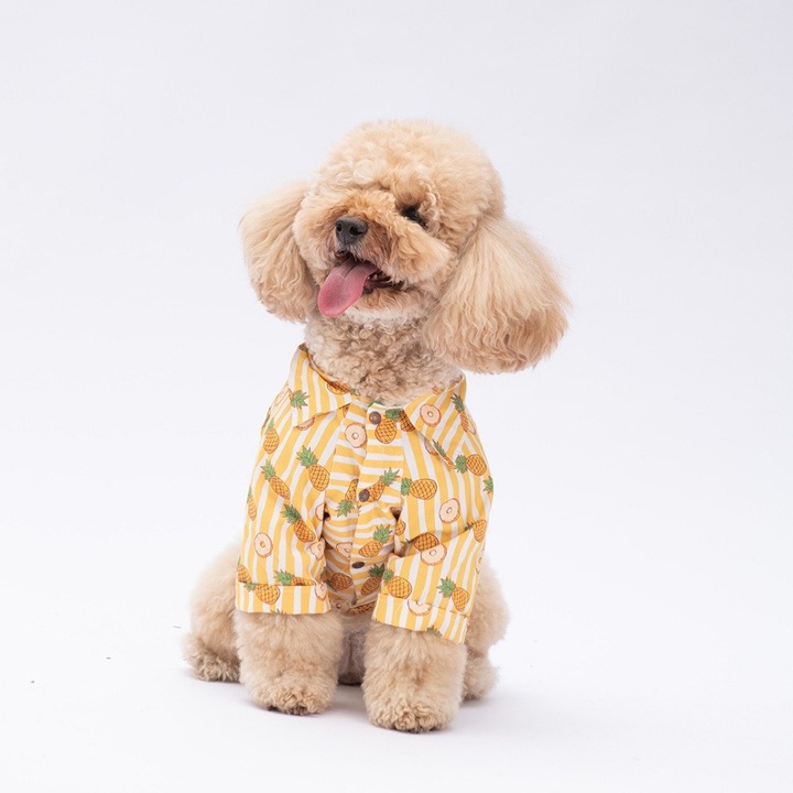 Camasa pentru caini, Pawstar, model ananas in dungi, Marimea M, Galben/Alb