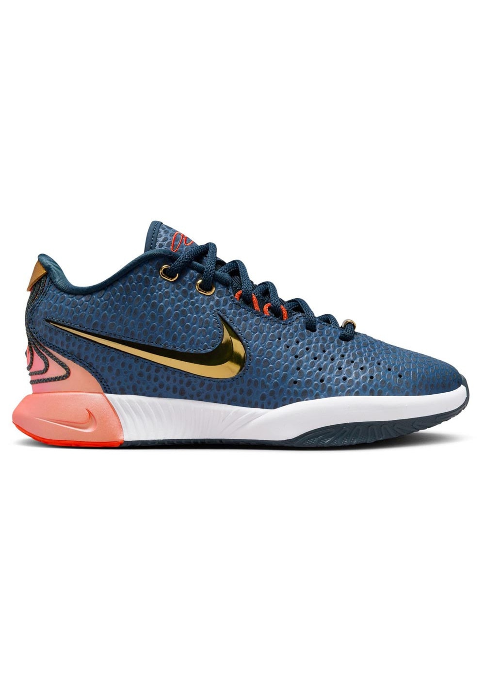 Pantofi sport barbati Nike LeBron 21, multicolor, plasa