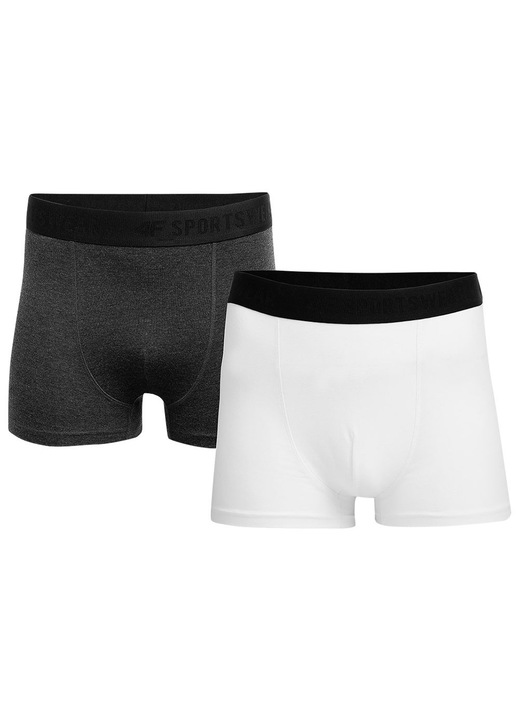 Boxeri barbati, 4F, set 2 bucati, talie elastica, bumbac, elastan, 2XL INTL