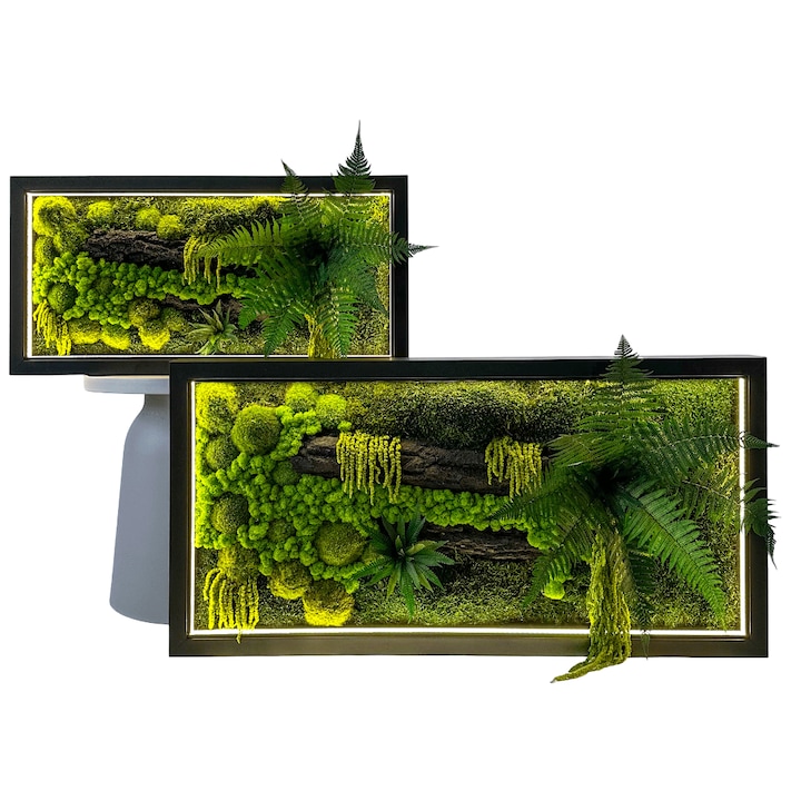 Tablou cu licheni stabilizati si led 80×40 cm