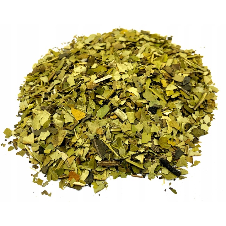 Frunze De Ilex guianensis, Agrest, 200 g, Natural, Ambalat In Pachet Etans Tip Doypack, Taiat, Uscat, Excelent Pentru Sanatate, Contribuie La Functionarea Normala A Organismului, Suport Pentru Organism