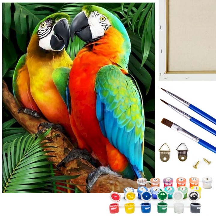 Kit pictura dupa numere, Artnico, Papagali, 40x50 cm, 24 vopsele acrilice, 3 pensule, cu rama, cu carlig de agatat, cu model, cu ambalajul original, alb, lemn