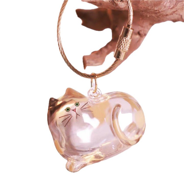 Organizator de amintiri pentru par de pisica, model 3, transparent, universal