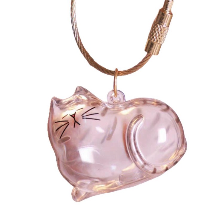 Organizator de amintiri pentru par de pisica, transparent, model 2