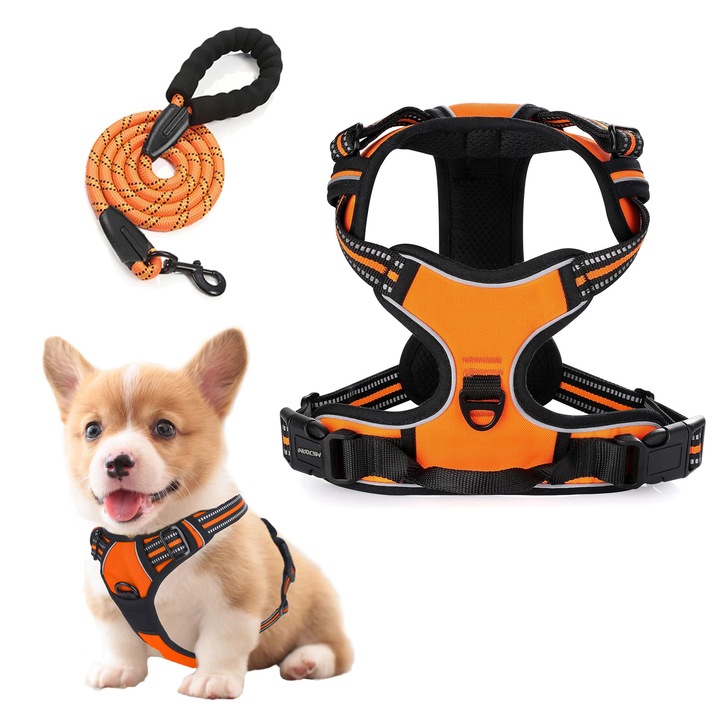 Set Ham si Lesa pentru Caini, cu benzi Reflectorizante, Ham reglabil si Lesa de 1.5m x 10mm, Portocaliu, 4-8kgs, S