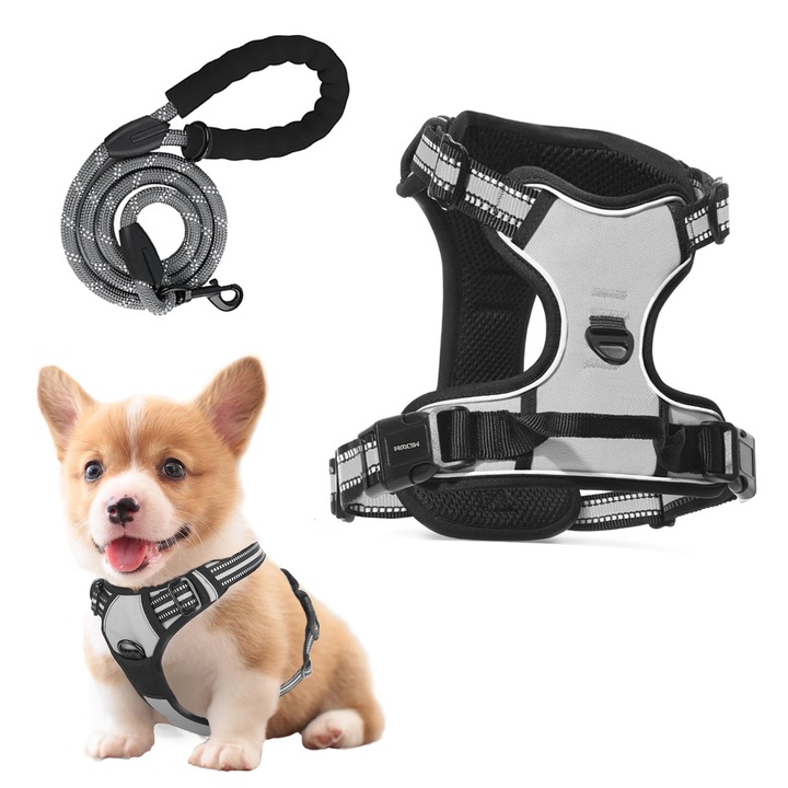 Set Ham si Lesa pentru Caini, cu benzi Reflectorizante, Ham reglabil si Lesa de 1.5m x 10mm, Gri, 4-8kgs, S