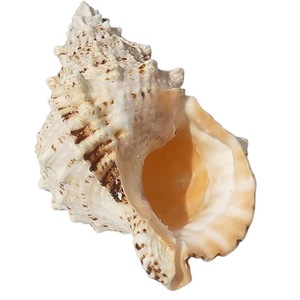 Accesorii decorative