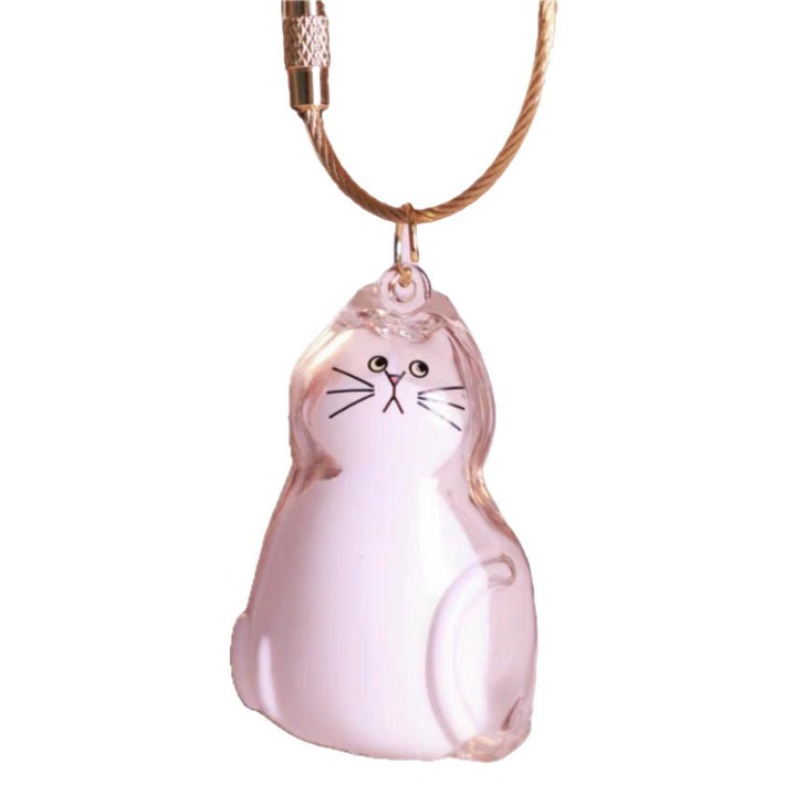 Organizator de amintiri pentru par de pisica, transparent, model 5