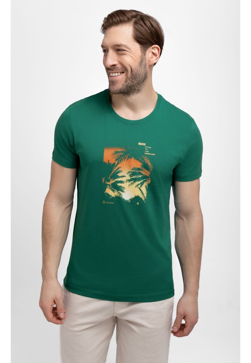 Tricou din bumbac pentru barbati Volcano T-Roam verde, L