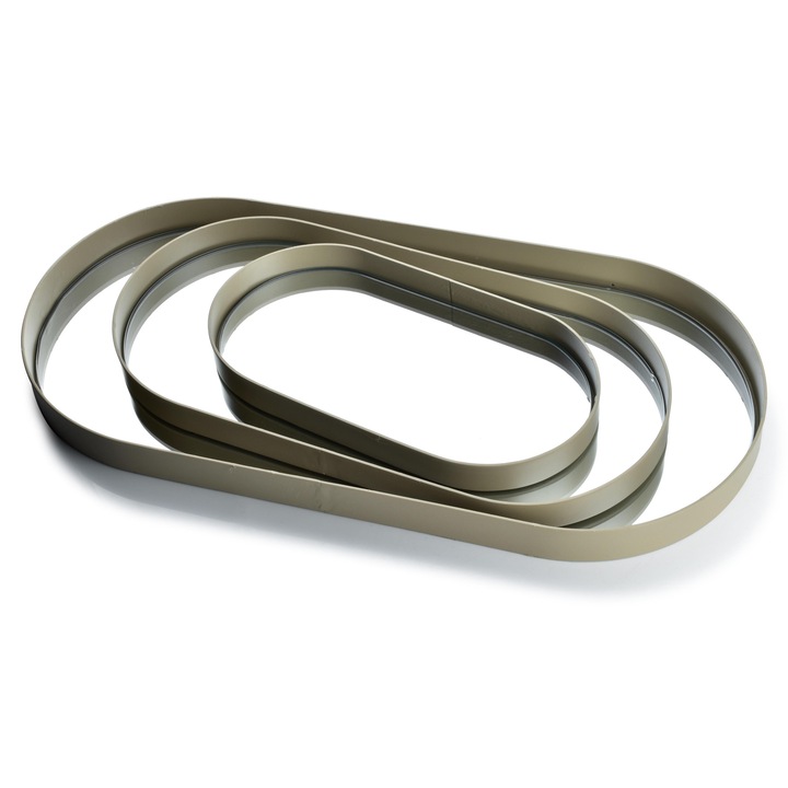 Tava servire Mondex Lucas Beige 23x49,5x3cm, metal si oglinda