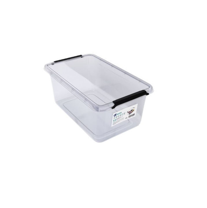 Cutie de depozitare, Deuba, 30x20x12cm, 5 L, din plastic fra BPA, cu capac, Transparent