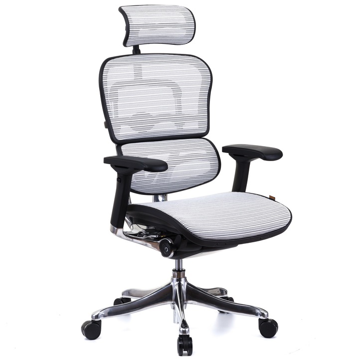 Scaun QMOBILI Ergohuman v2 Plus Elite, mesh 3D Alb, cu tetiera 2D, suport lombar, brate reglabile 4D, sezut translabil