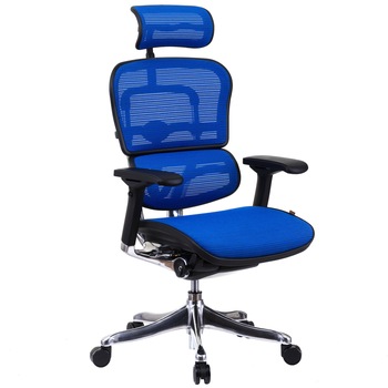Scaun QMOBILI Ergohuman v2 Plus Elite, mesh 3D Albastru, cu tetiera 2D, suport lombar, brate reglabile 4D, sezut translabil Scaun QMOBILI Ergohuman v2 Plus Elite, mesh 3D Albastru, cu tetiera 2D, suport lombar, brate reglabile 4D, sezut translabil