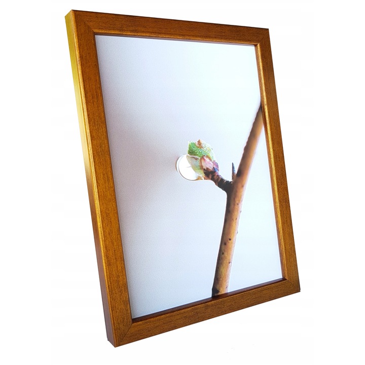 Rama foto 20x25cm, Fotkom, lemn de pin, set complet, culoare la alegere