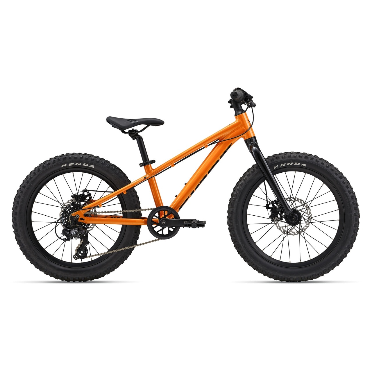 Bicicleta MTB 20
