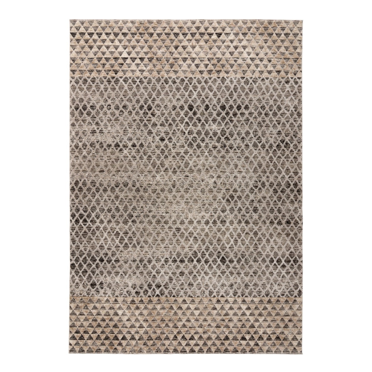 Covor Vintage Tiziano Gri V0240 Dreptunghiular, 240x300 cm - eMAG.ro