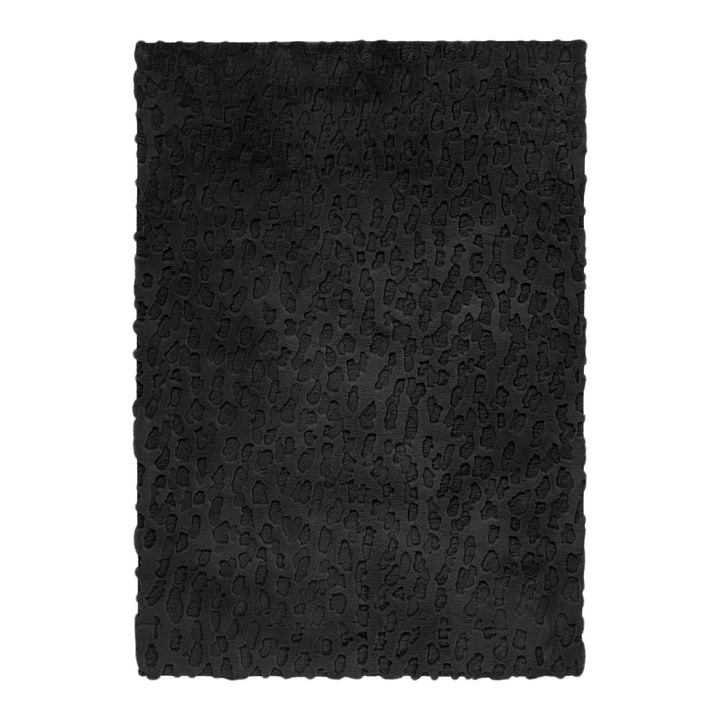 3D Design Szőnyeg Ventura Fekete V2070 Téglalap Alakú, 120x170 cm