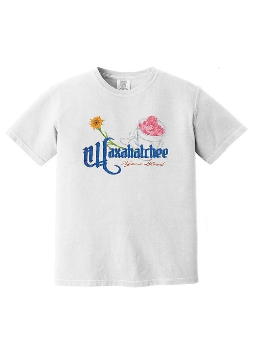 Waxahatchee férfi póló, pamut, többszínű