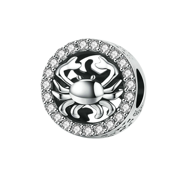 Bijuterie dama, Charm compatibil Pandora, Argint 925, SCC1213