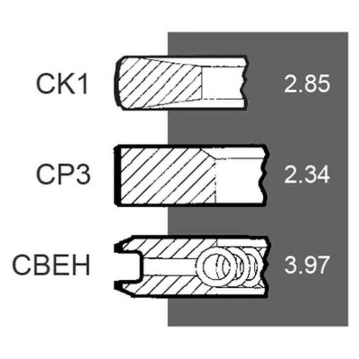Сегменти на двигателя Case IH Kolbenschmidt J802746