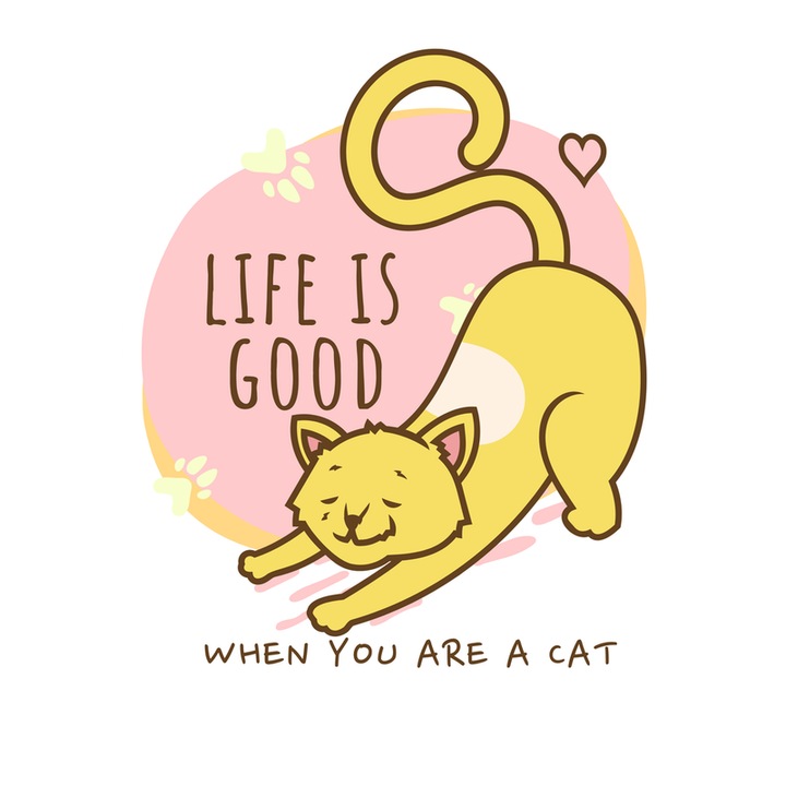 Sticker Life is good when you are a cat, Autoadeziv, Cri-Flo, Marime 6 cm