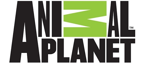 Animal Planet