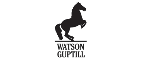 Watson-Guptill Publications